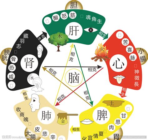 五行相生相克图